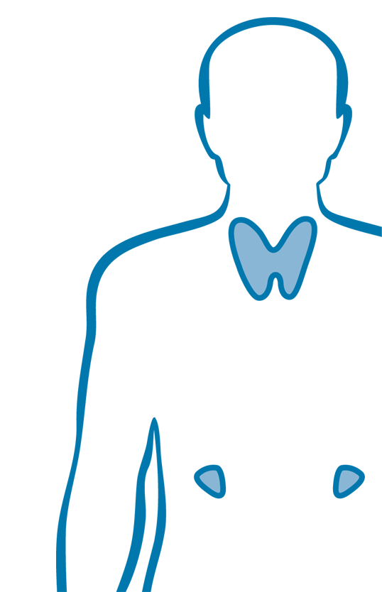 Endokrine Chirurgie (Schilddrüse, Nebennieren)